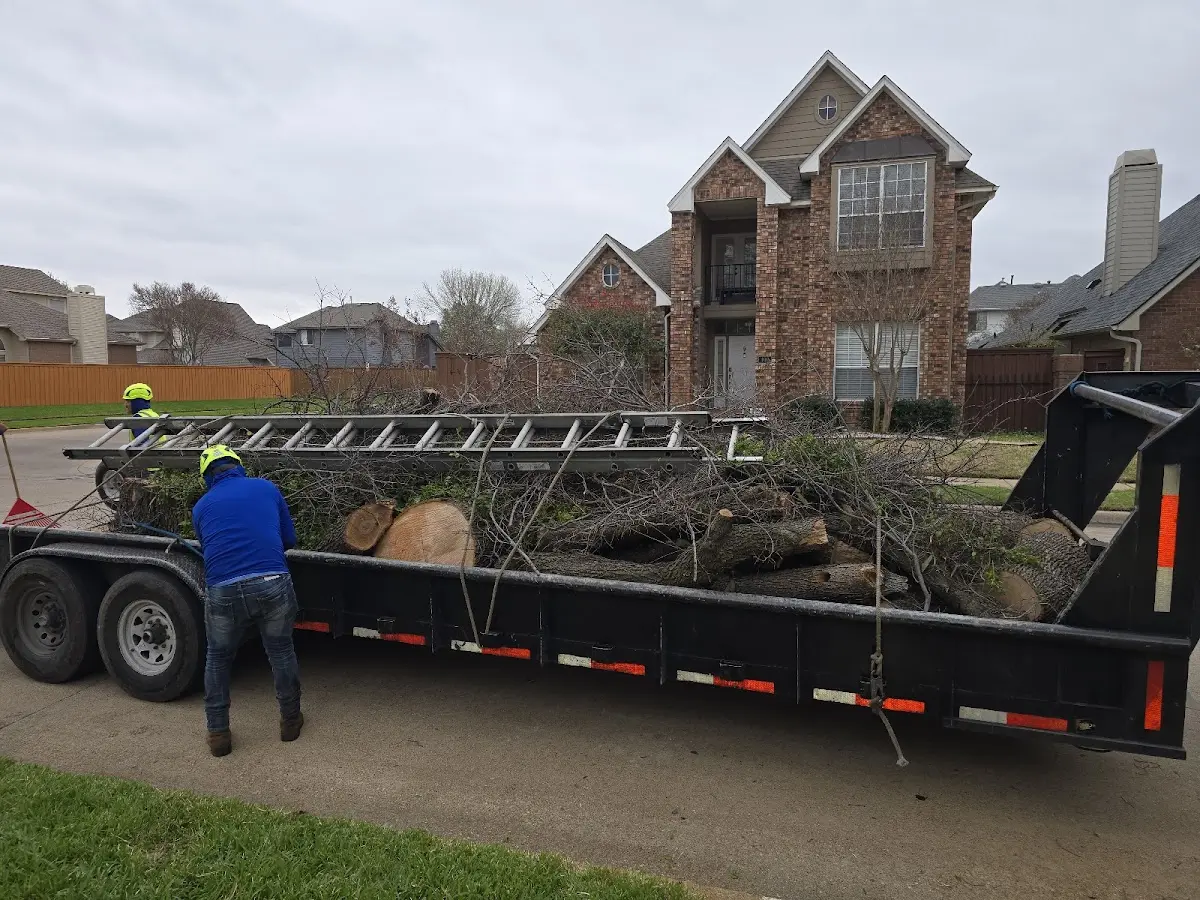 Expert Tree Fertilization with proper safety equipment in North Anson